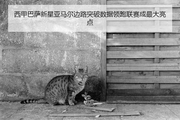 xi-jia-ba-sa-xin-xing-ya-ma-er-bian-lu-tu-po-shu-ju-ling-pao-lian-sai-cheng-zui-da-liang-dian-2-329.jpg